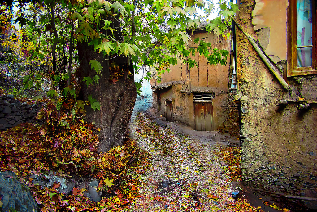 image-gallery